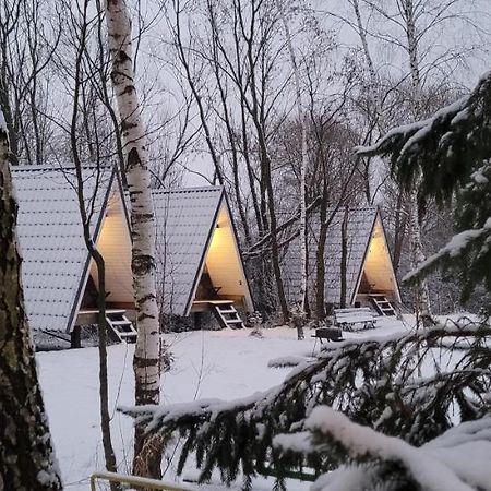 Vigio Brasta Camping Elektrenai Ngoại thất bức ảnh
