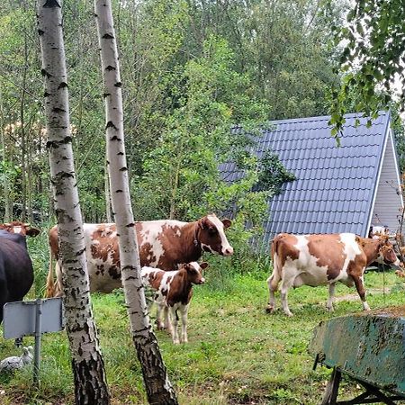 Vigio Brasta Camping Elektrenai Ngoại thất bức ảnh