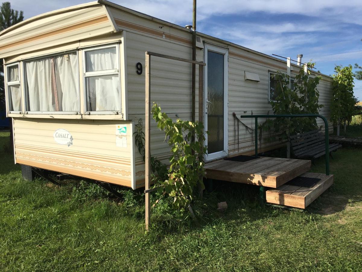 Vigio Brasta Camping Elektrenai Ngoại thất bức ảnh