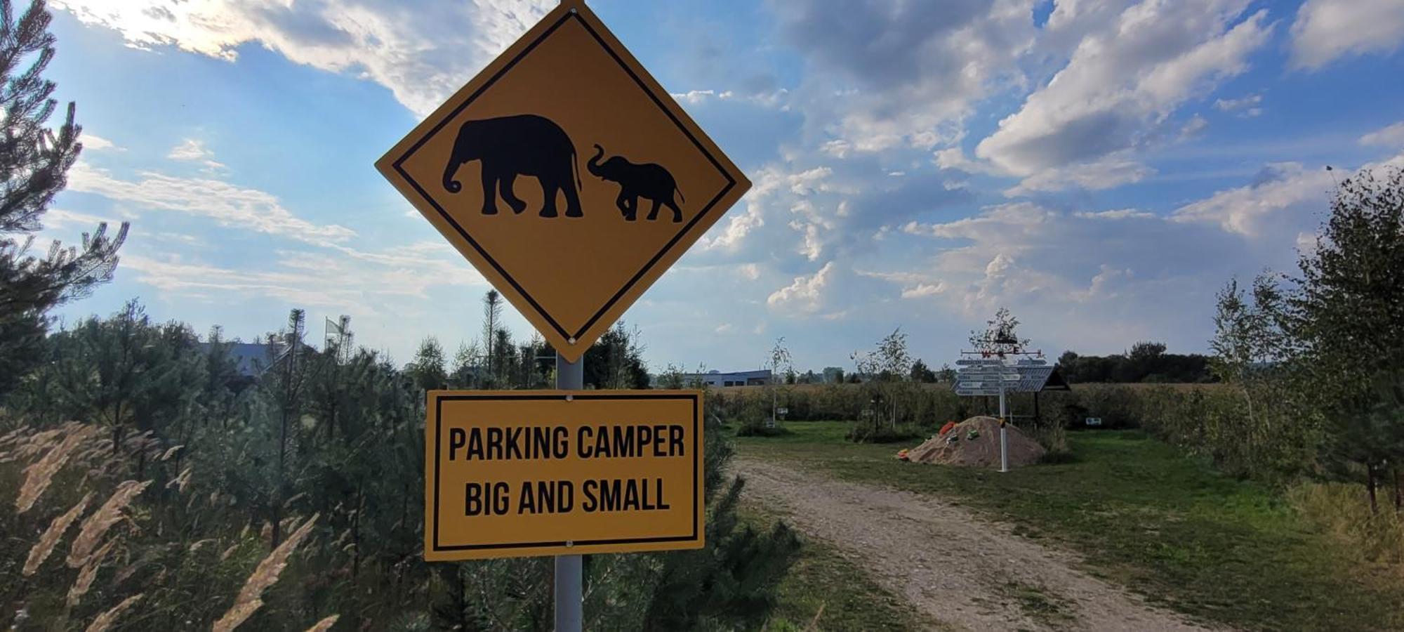 Vigio Brasta Camping Elektrenai Ngoại thất bức ảnh