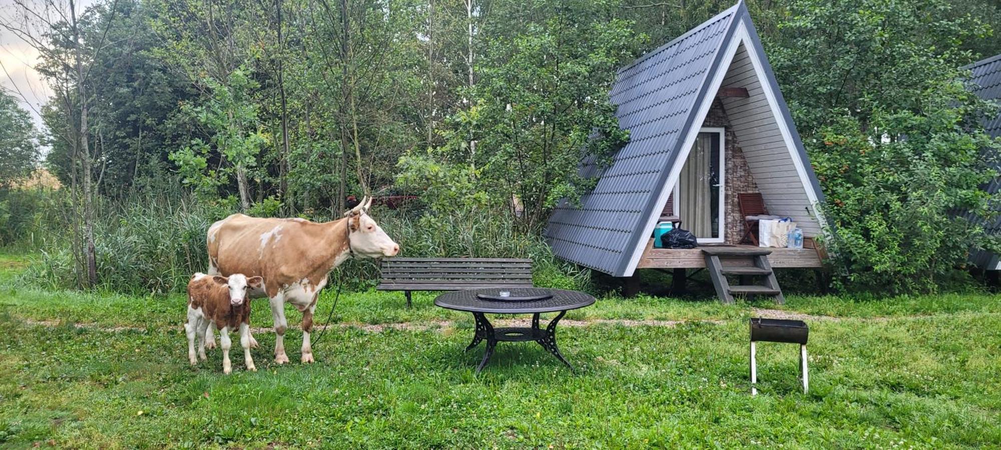 Vigio Brasta Camping Elektrenai Ngoại thất bức ảnh